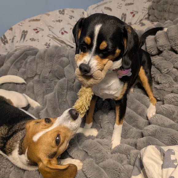 PROCAKE IS LIVE! SOS (SELL OUR SHIIIIIITE) SHOW! - Picture 12 of 16